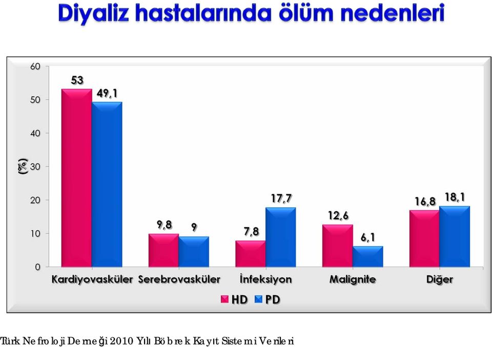 YılıY Böbrek