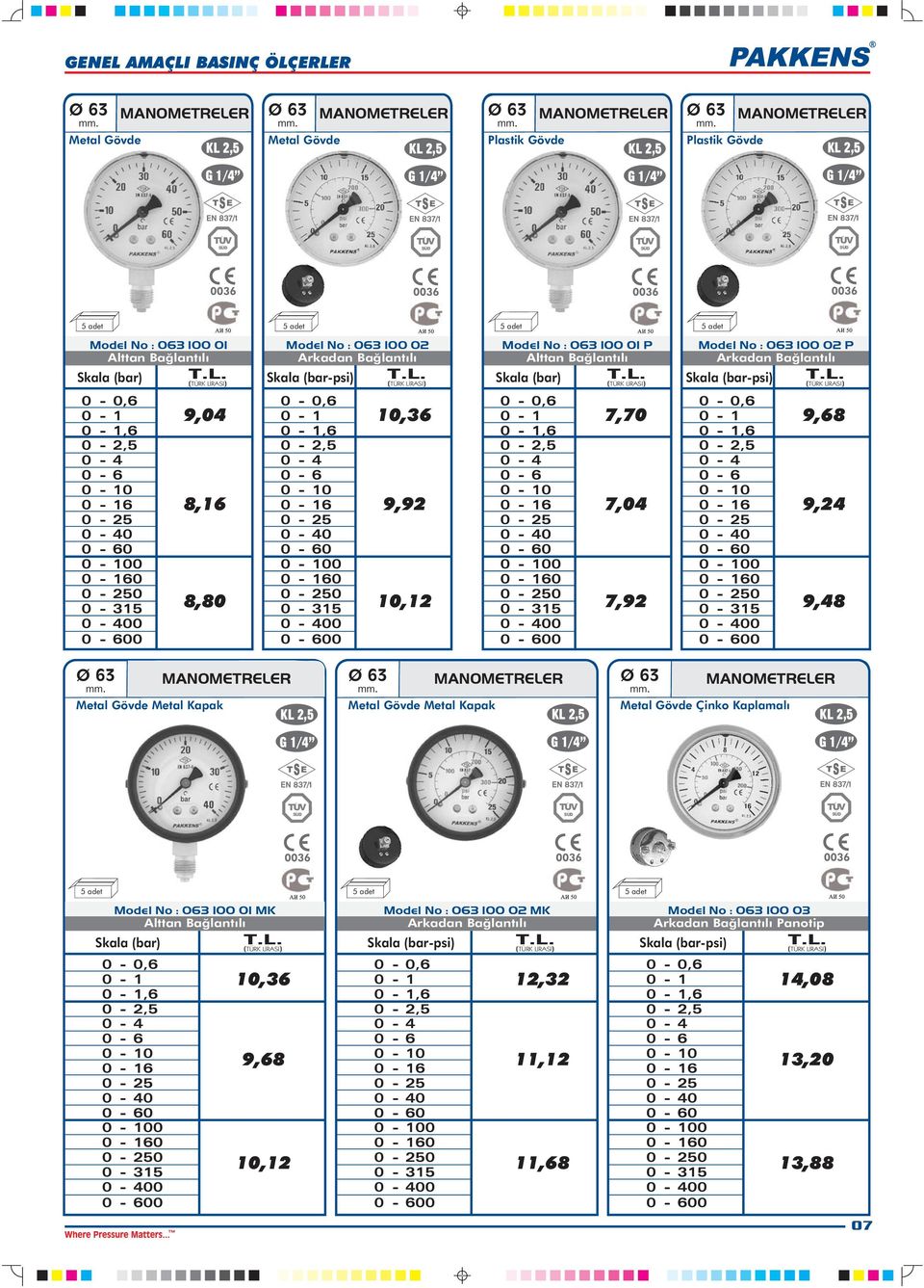 063 100 02 P Skala (bar-psi) 0 0 0 9,68 9,24 9,48 MANMETRELER MANMETRELER MANMETRELER Çinko Kaplamalý Model No : 063 100 01 MK Skala (bar) 0 0 0