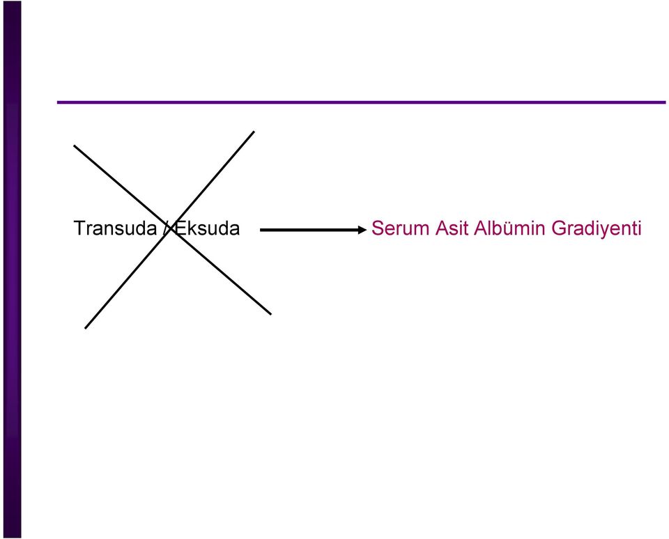 Serum Asit