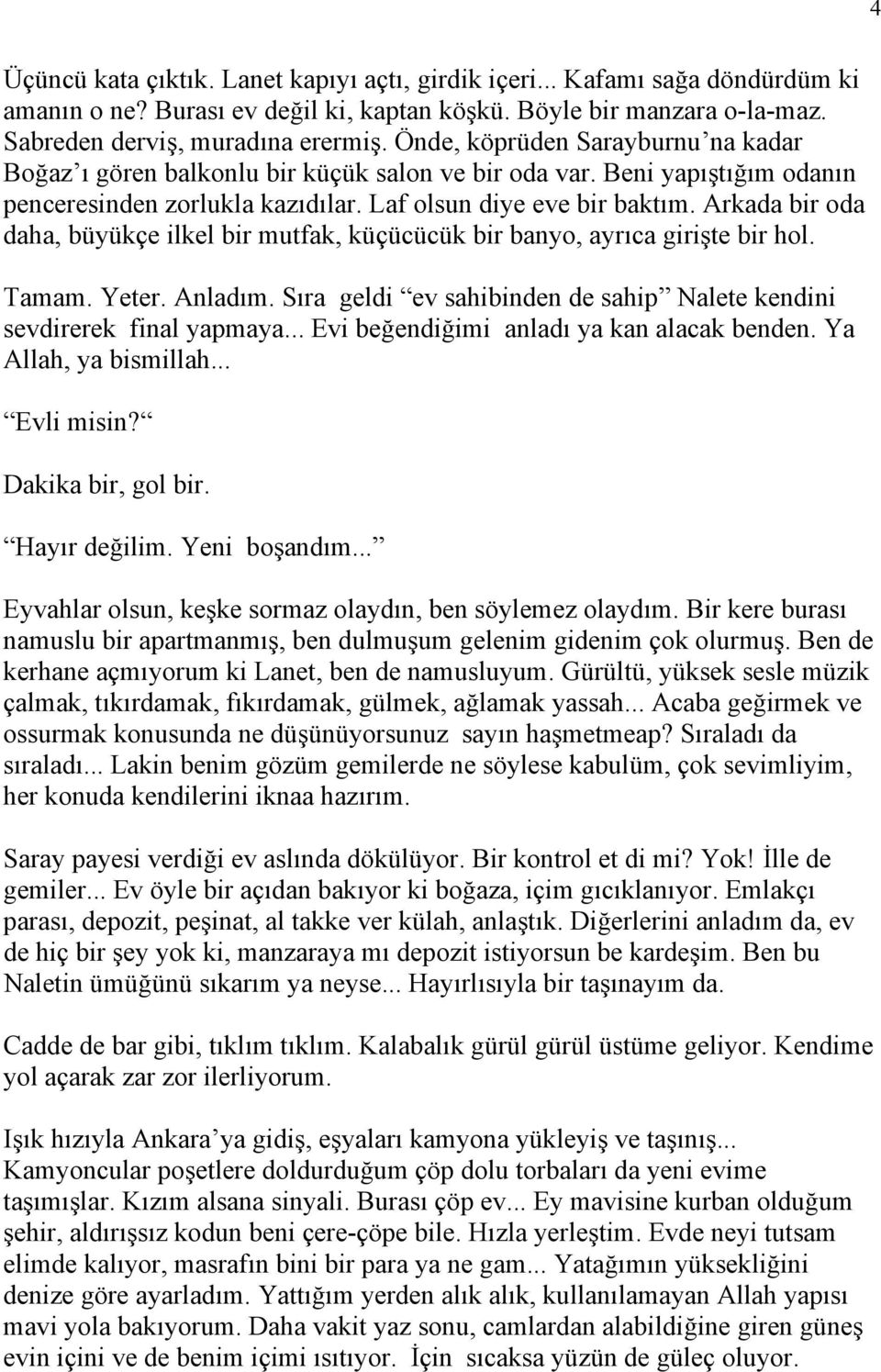 Arkada bir oda daha, büyükçe ilkel bir mutfak, küçücücük bir banyo, ayrıca girişte bir hol. Tamam. Yeter. Anladım. Sıra geldi ev sahibinden de sahip Nalete kendini sevdirerek final yapmaya.