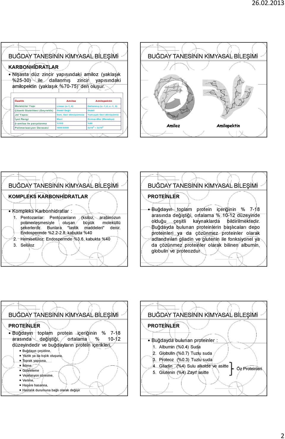 Rengi Mavi Kırmızı-Mor (Menekşe) -amilaz ile parçalanma %100 %60 Polimerizasyon Derecesi 1500-6000 3x10 5 3x10 6 Amiloz Amilopektin KOMPLEKS Kompleks Karbonhidratlar : 1.