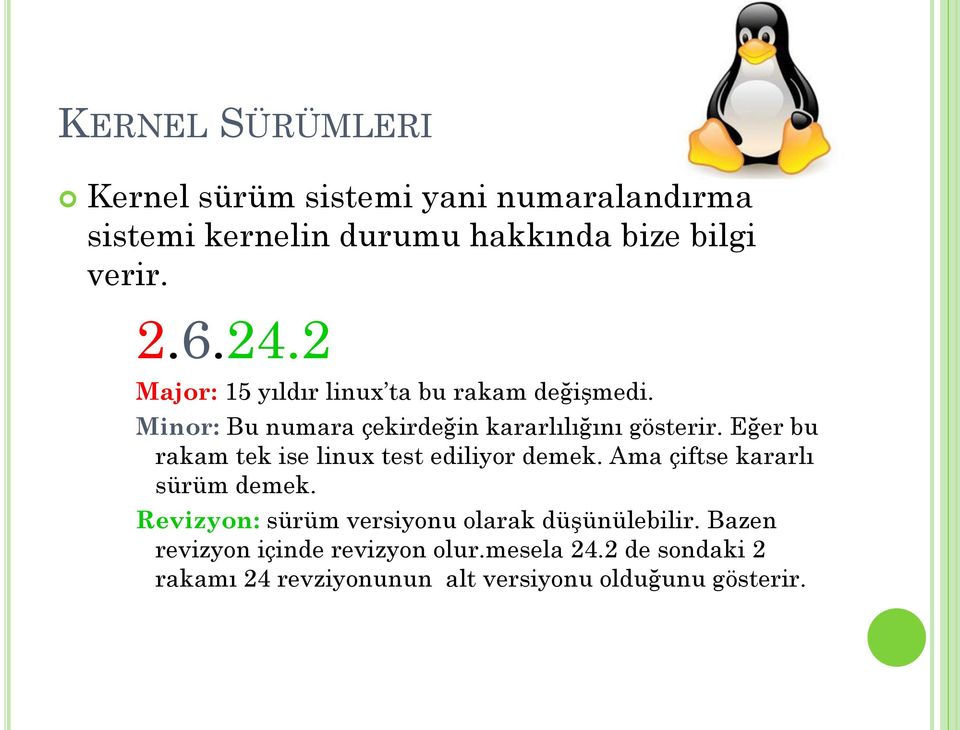 Eğer bu rakam tek ise linux test ediliyor demek. Ama çiftse kararlı sürüm demek.