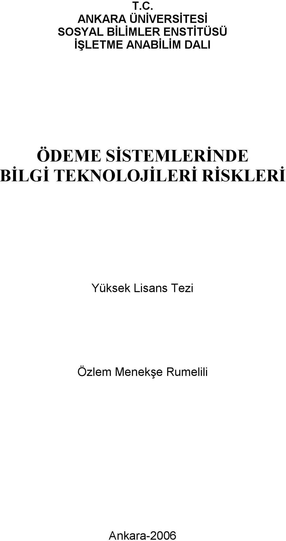 SİSTEMLERİNDE BİLGİ TEKNOLOJİLERİ RİSKLERİ