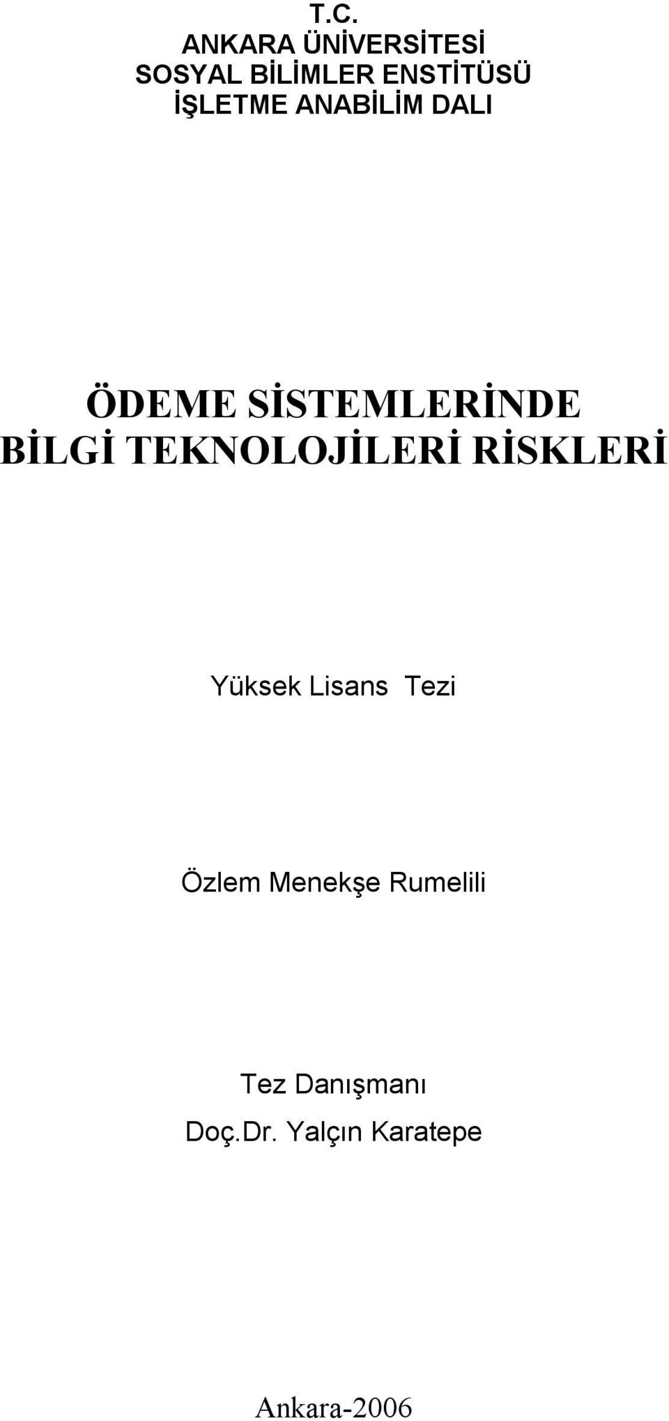 TEKNOLOJİLERİ RİSKLERİ Yüksek Lisans Tezi Özlem