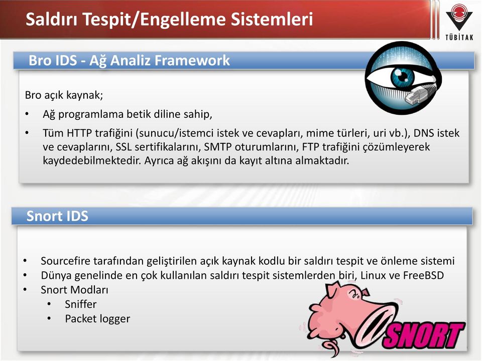 ), DNS istek ve cevaplarını, SSL sertifikalarını, SMTP oturumlarını, FTP trafiğini çözümleyerek kaydedebilmektedir.