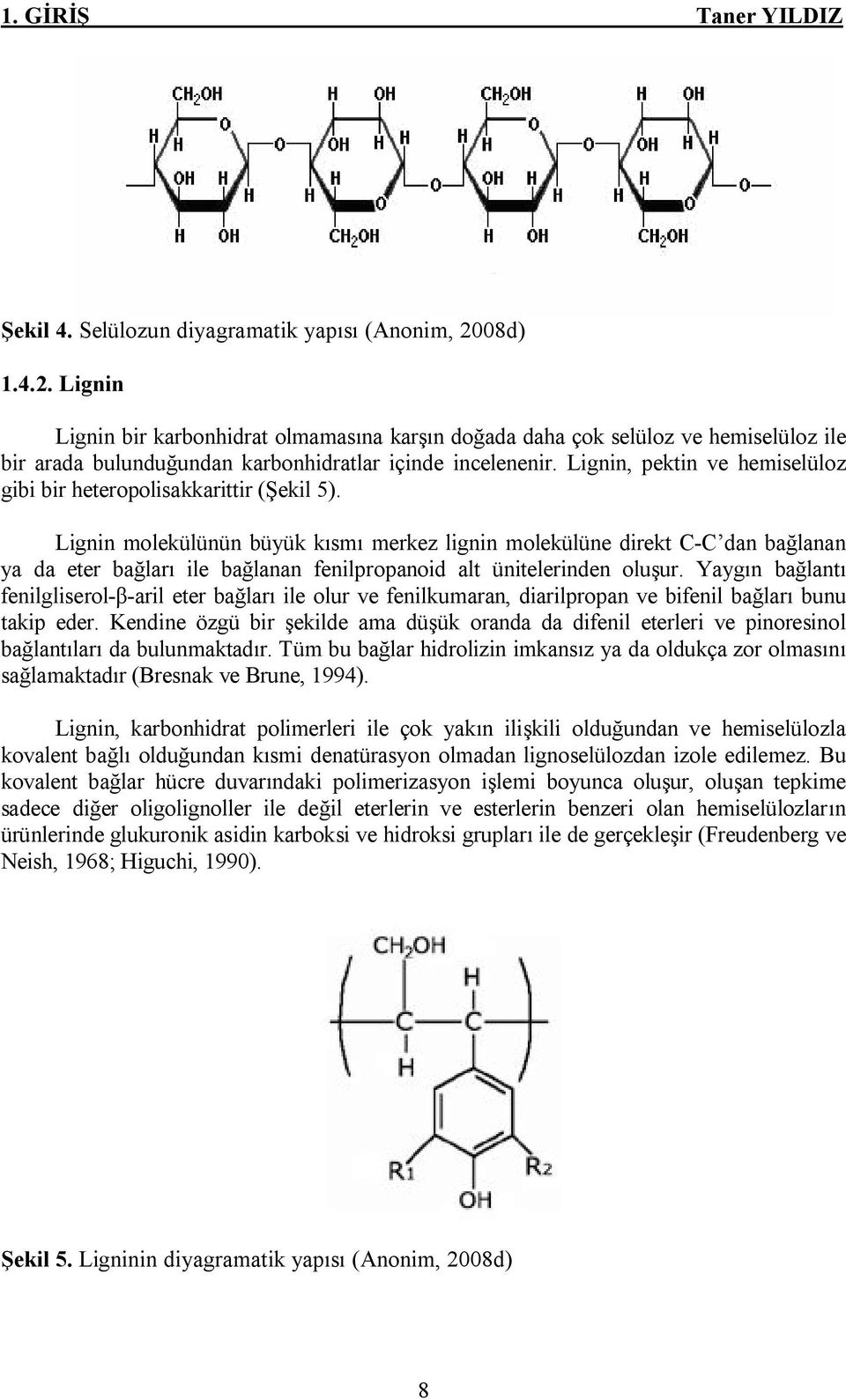 Lignin, pektin ve hemiselüloz gibi bir heteropolisakkarittir (Şekil 5).