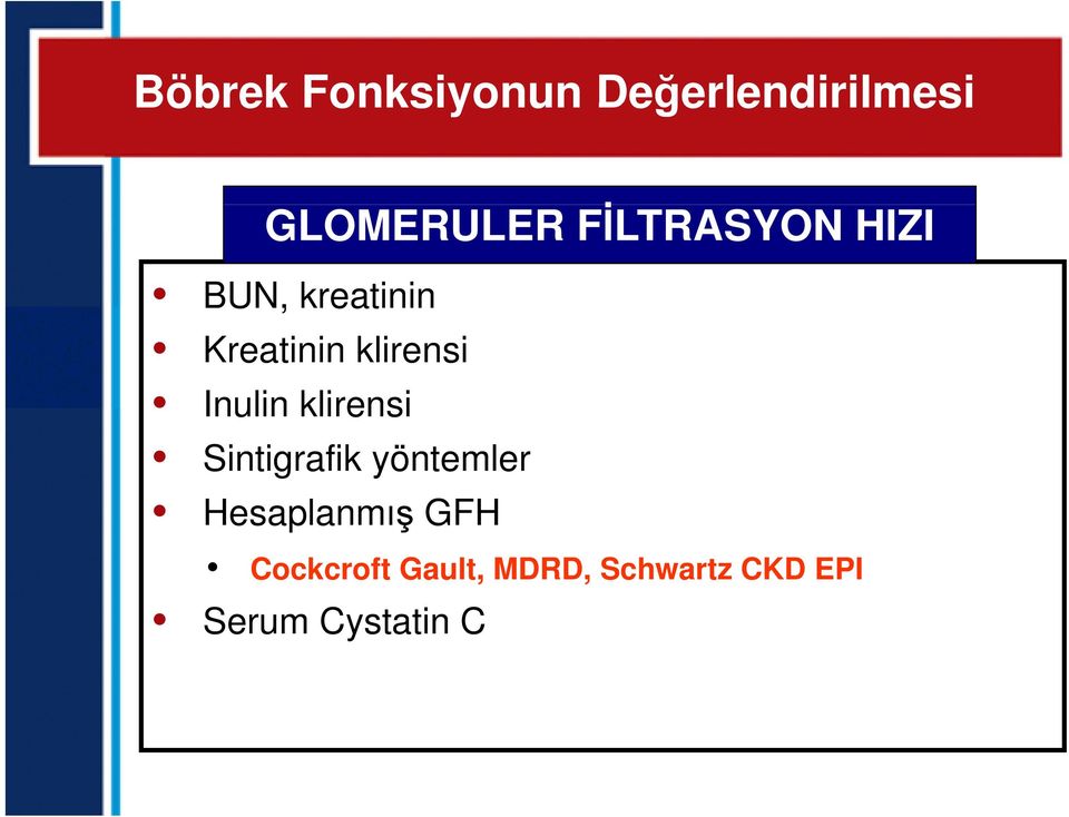 Inulin klirensi Sintigrafik yöntemler Hesaplanmış GFH