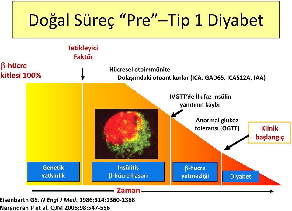 Anormal glukoz toleransı (OGTT) Klinik başlangıç Genetik yatkınlık Insülitis β-hücre hasarı Zaman