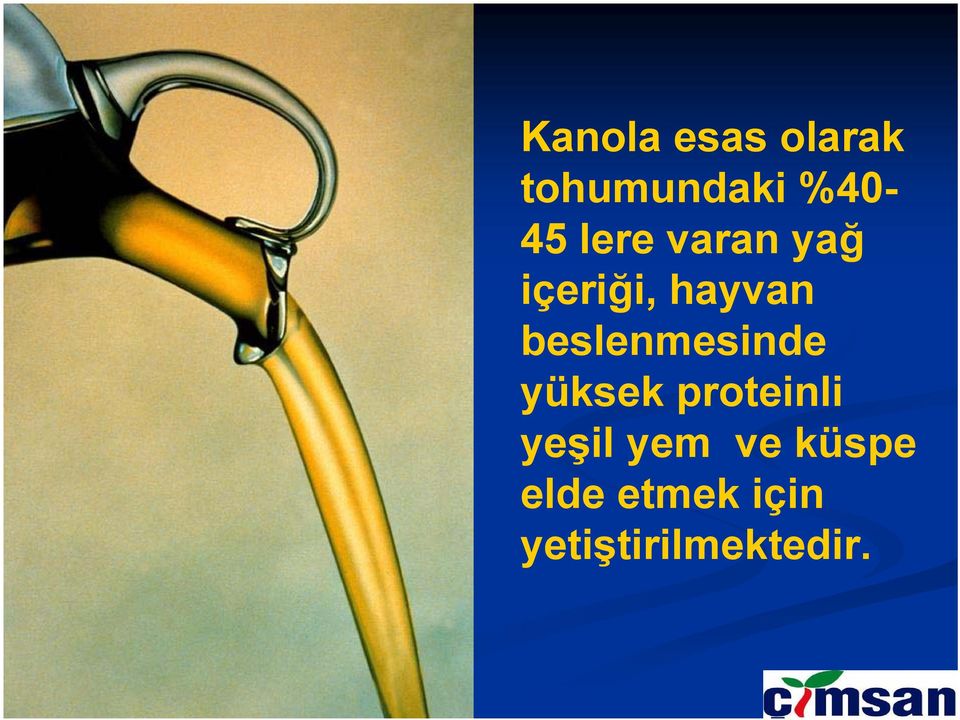 beslenmesinde yüksek proteinli yeşil