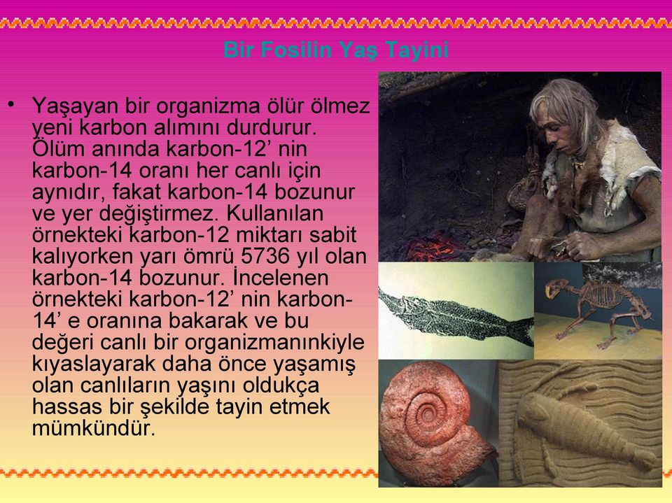 Kullanılan örnekteki karbon-12 miktarı sabit kalıyorken yarı ömrü 5736 yıl olan karbon-14 bozunur.