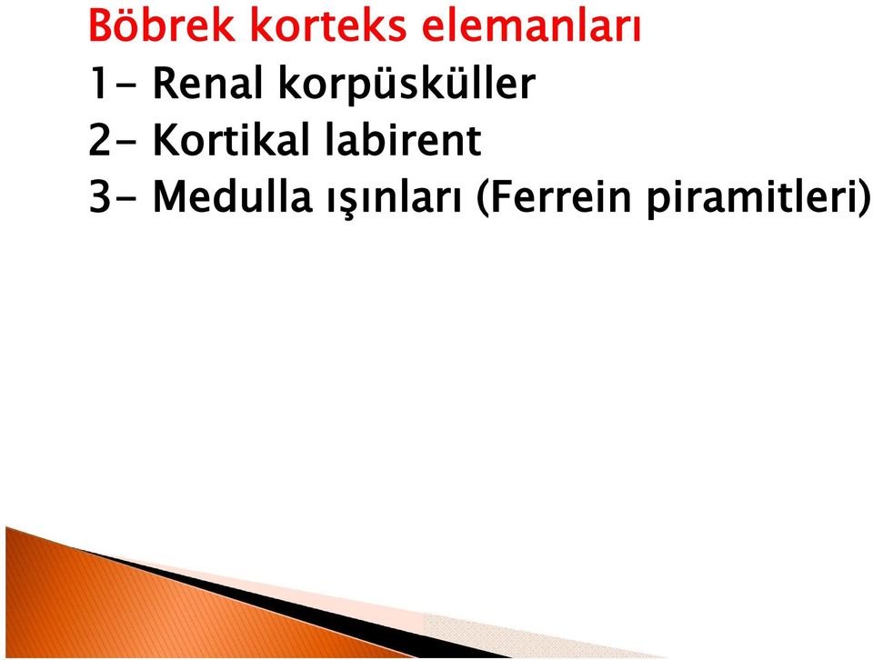 Kortikal labirent 3-