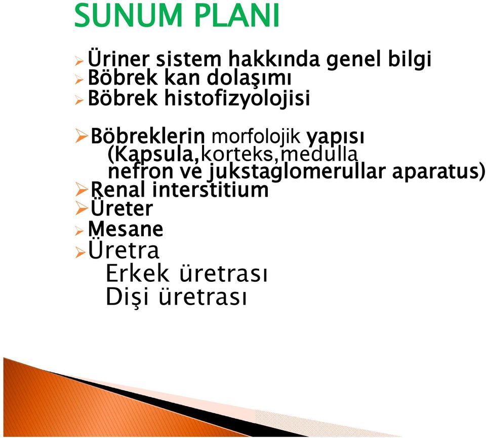 (Kapsula,korteks,medulla nefron ve jukstaglomerullar aparatus)