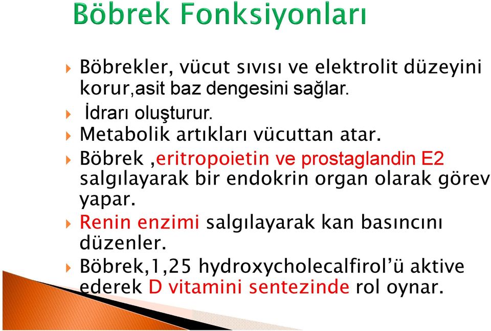 Böbrek,eritropoietin ve prostaglandin E2 salgılayarak bir endokrin organ olarak görev