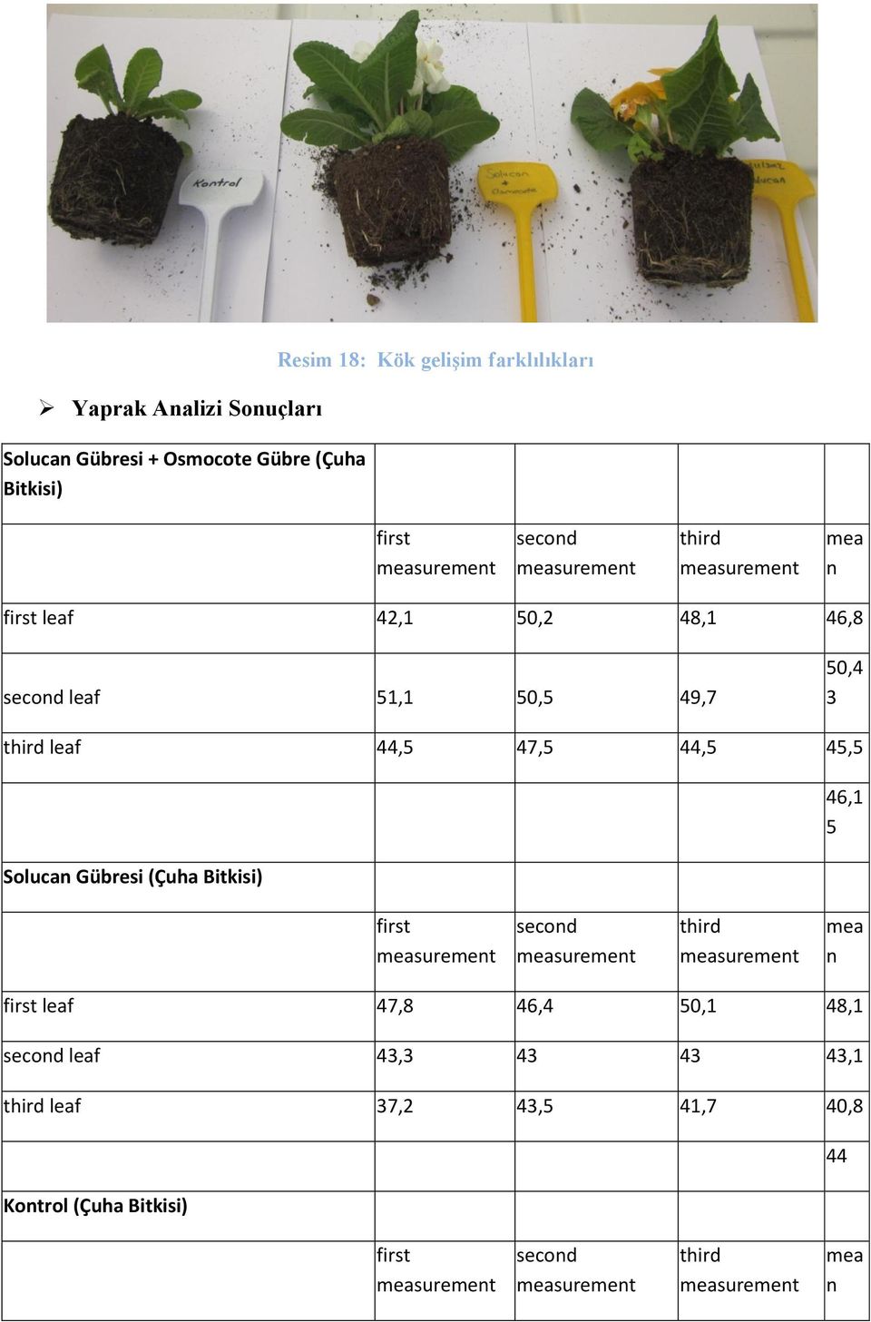 47,5 44,5 45,5 Solucan Gübresi (Çuha Bitkisi) 46,1 5 first second third mea n first leaf 47,8 46,4 50,1 48,1