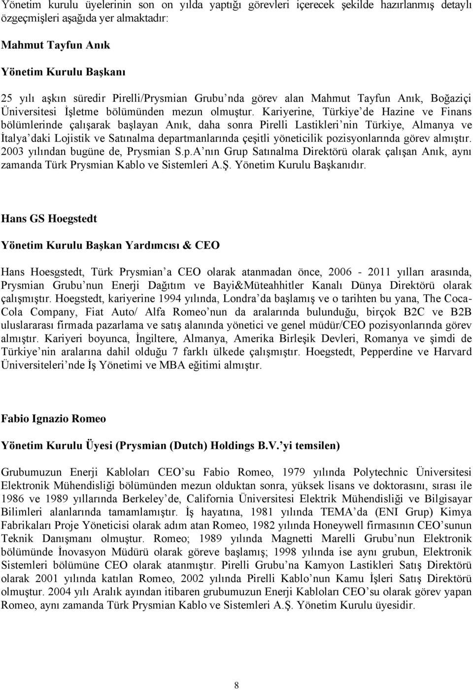 Kariyerine, Türkiye de Hazine ve Finans bölümlerinde çalışarak başlayan Anık, daha sonra Pirelli Lastikleri nin Türkiye, Almanya ve İtalya daki Lojistik ve Satınalma departmanlarında çeşitli