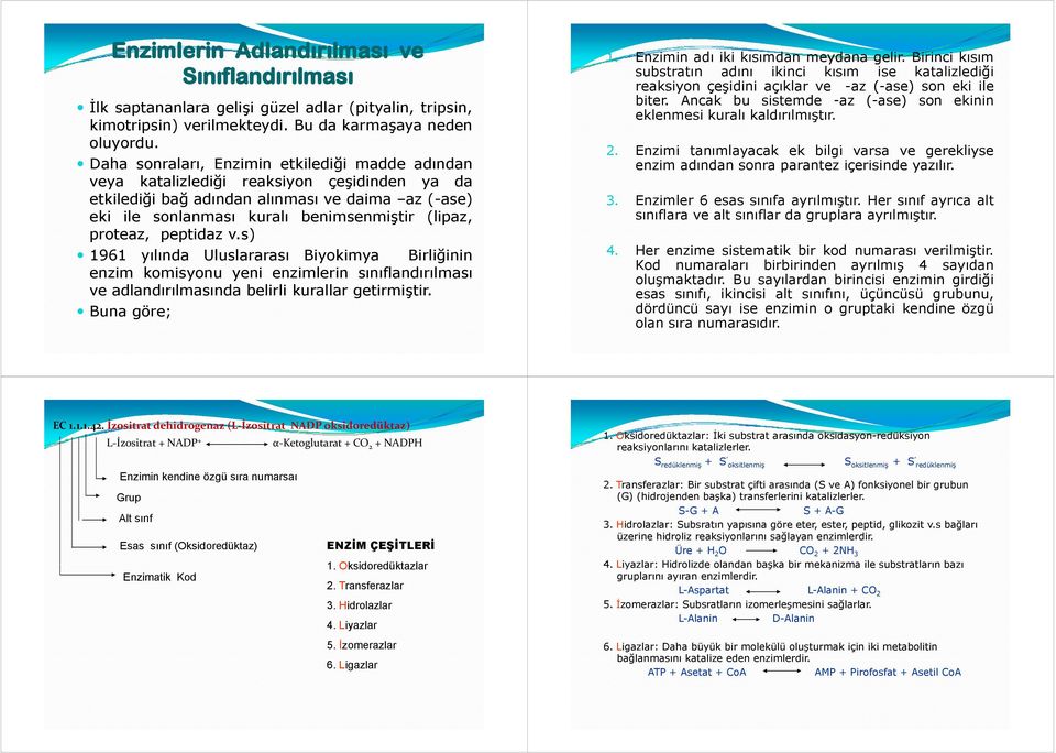 proteaz, peptidaz v.s) 1961 yılında Uluslararası Biyokimya Birliğinin enzim komisyonu yeni enzimlerin sınıflandırılması ve adlandırılmasında belirli kurallar getirmiştir. Buna göre; 1.