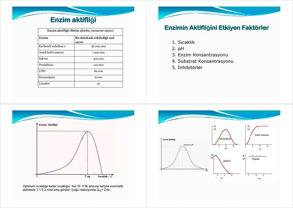 ph 3. Enzim Konsantrasyonu 4. Substrat Konsantrasyonu 5. İnhibitörler Kimotripsin 6.