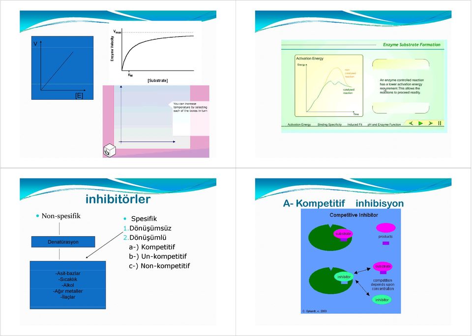 inhibitörler Spesifik 1.Dönüşümsüz 2.