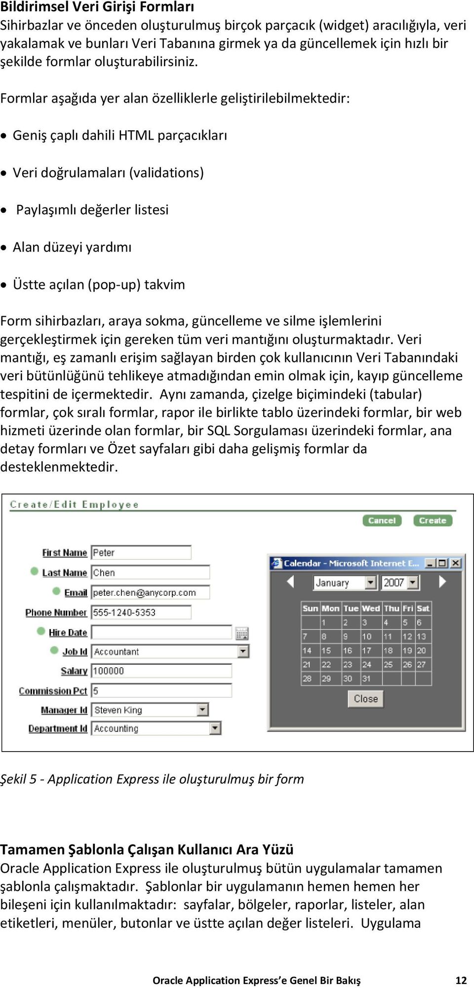 Formlar aşağıda yer alan özelliklerle geliştirilebilmektedir: Geniş çaplı dahili HTML parçacıkları Veri doğrulamaları (validations) Paylaşımlı değerler listesi Alan düzeyi yardımı Üstte açılan (pop