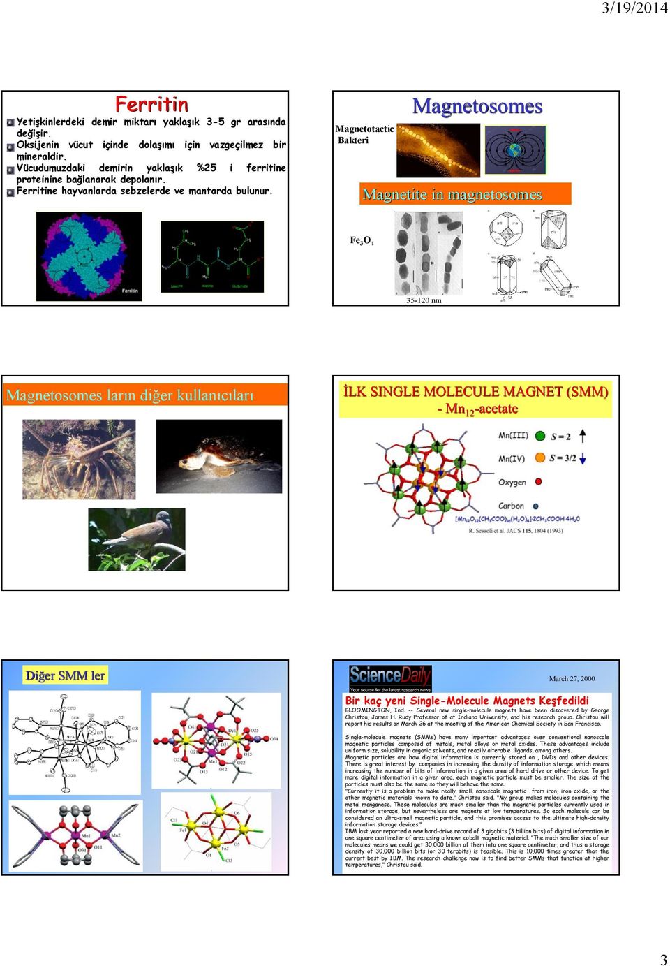 Magnetotactic Bakteri Magnetosomes Magnetite in magnetosomes Fe 3 O 4 35-120 nm Magnetosomes ların diğer kullanıcıları İLK IGLE MOLECULE MAGET (MM) - Mn 12 -acetate Diğer MM ler March 27, 2000 Bir