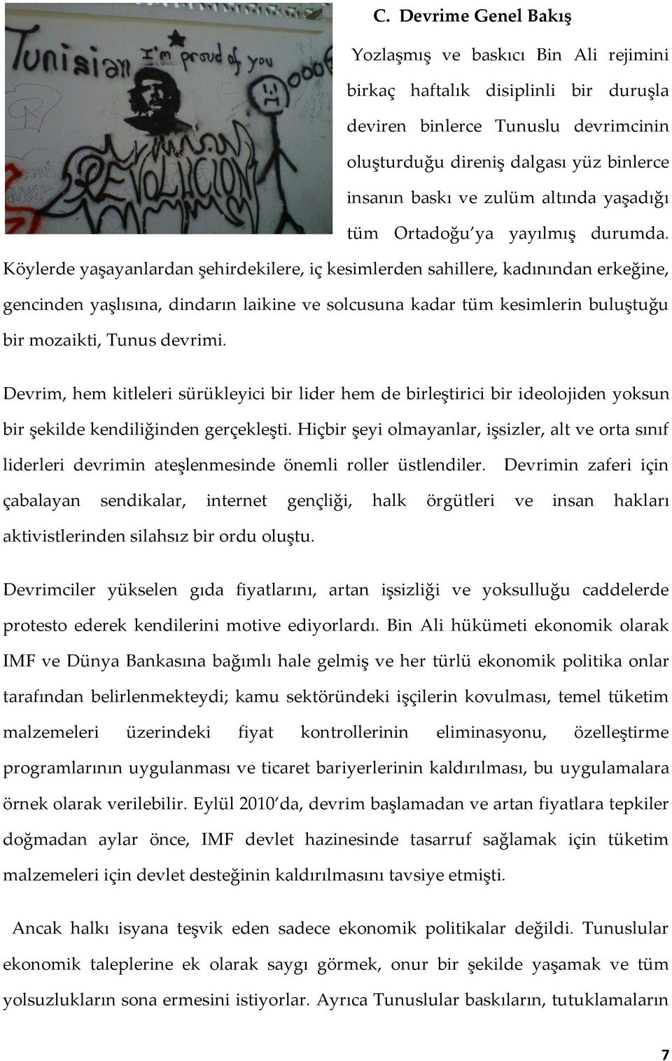 Köylerde yaşayanlardan şehirdekilere, iç kesimlerden sahillere, kadınından erkeğine, gencinden yaşlısına, dindarın laikine ve solcusuna kadar tüm kesimlerin buluştuğu bir mozaikti, Tunus devrimi.