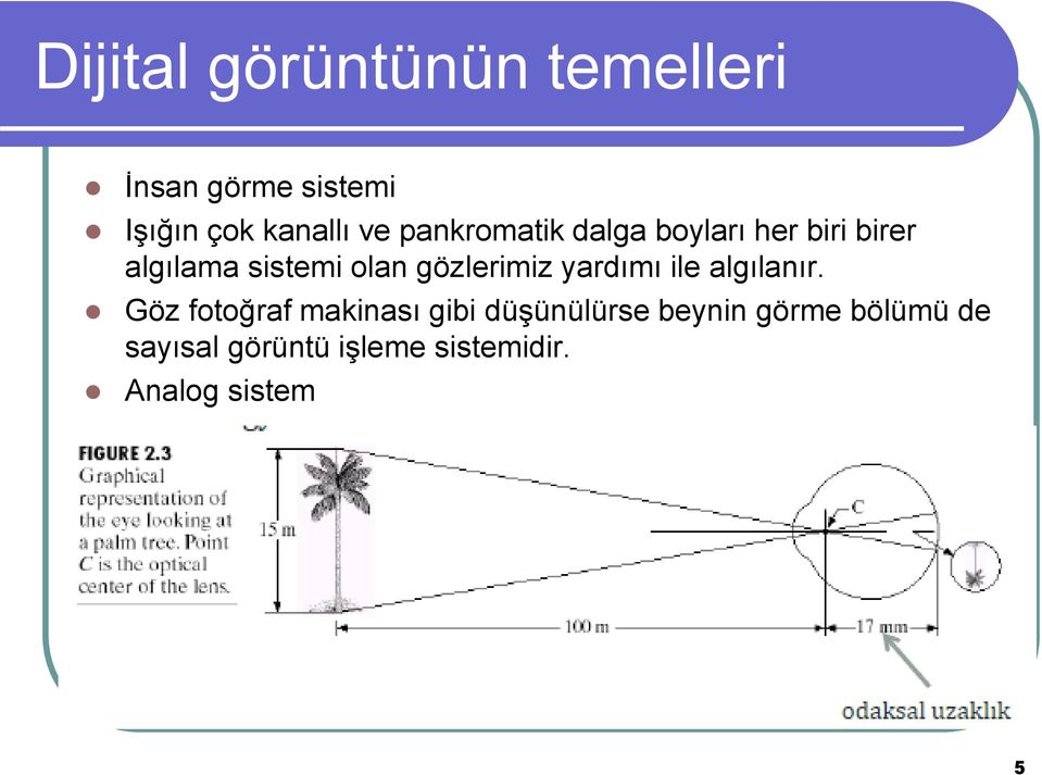 gözlerimiz yardımı ile algılanır.