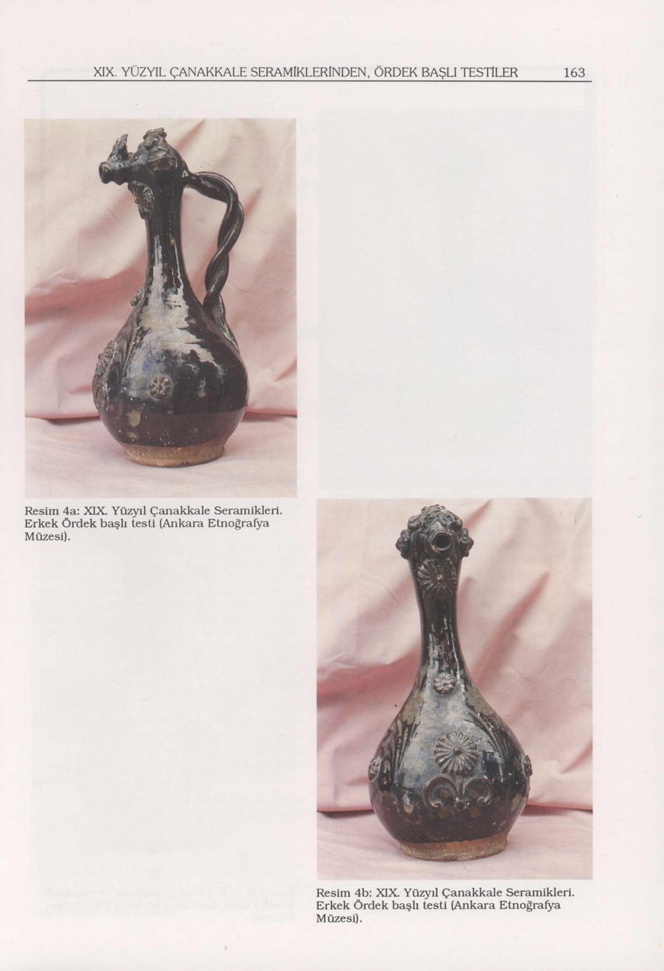 Erkek ördek başlı tesu (Ankara Etnografya Resim 4b: XIX.