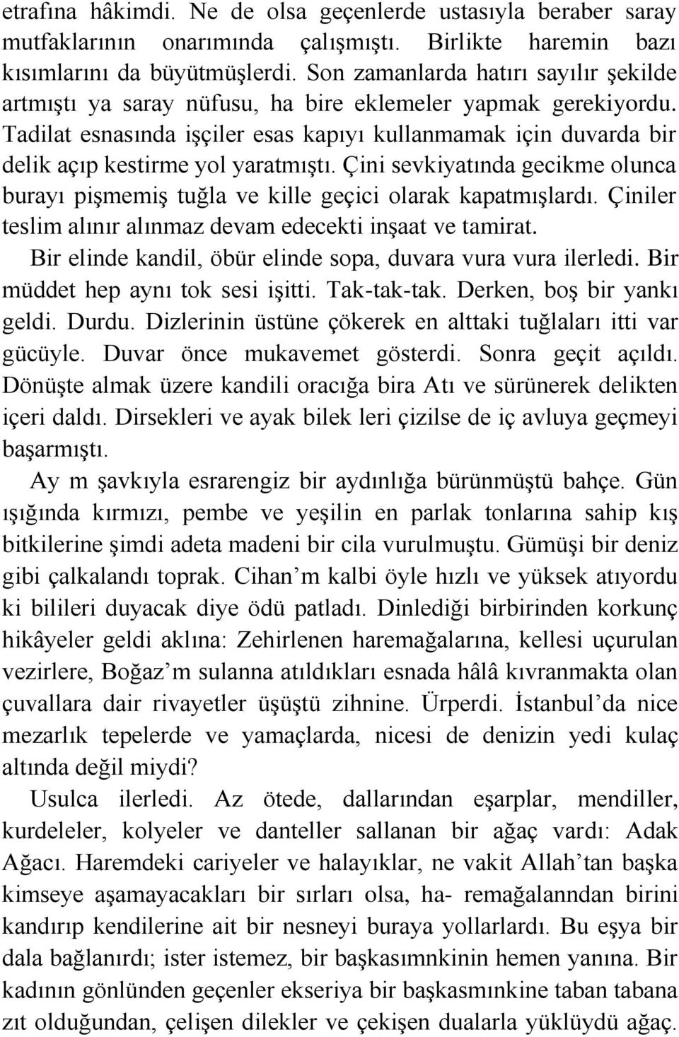 Tadilat esnasında işçiler esas kapıyı kullanmamak için duvarda bir delik açıp kestirme yol yaratmıştı. Çini sevkiyatında gecikme olunca burayı pişmemiş tuğla ve kille geçici olarak kapatmışlardı.