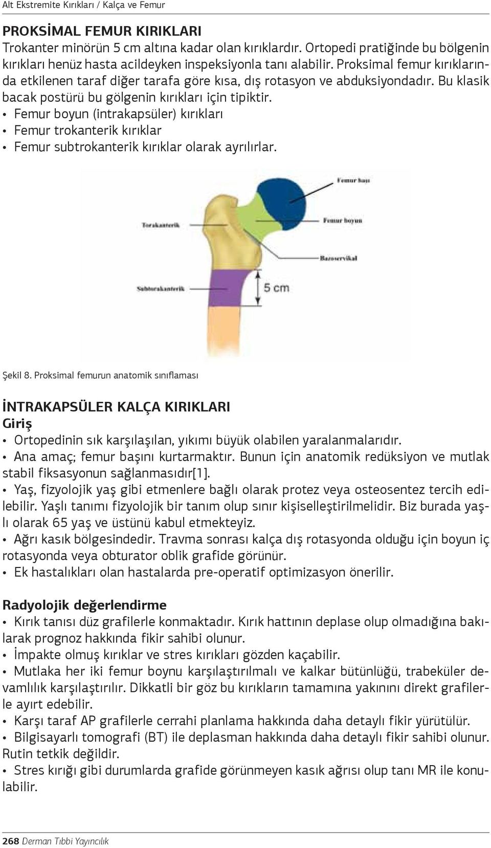 Femur boyun (intrakapsüler) kırıkları Femur trokanterik kırıklar Femur subtrokanterik kırıklar olarak ayrılırlar. Şekil 8.