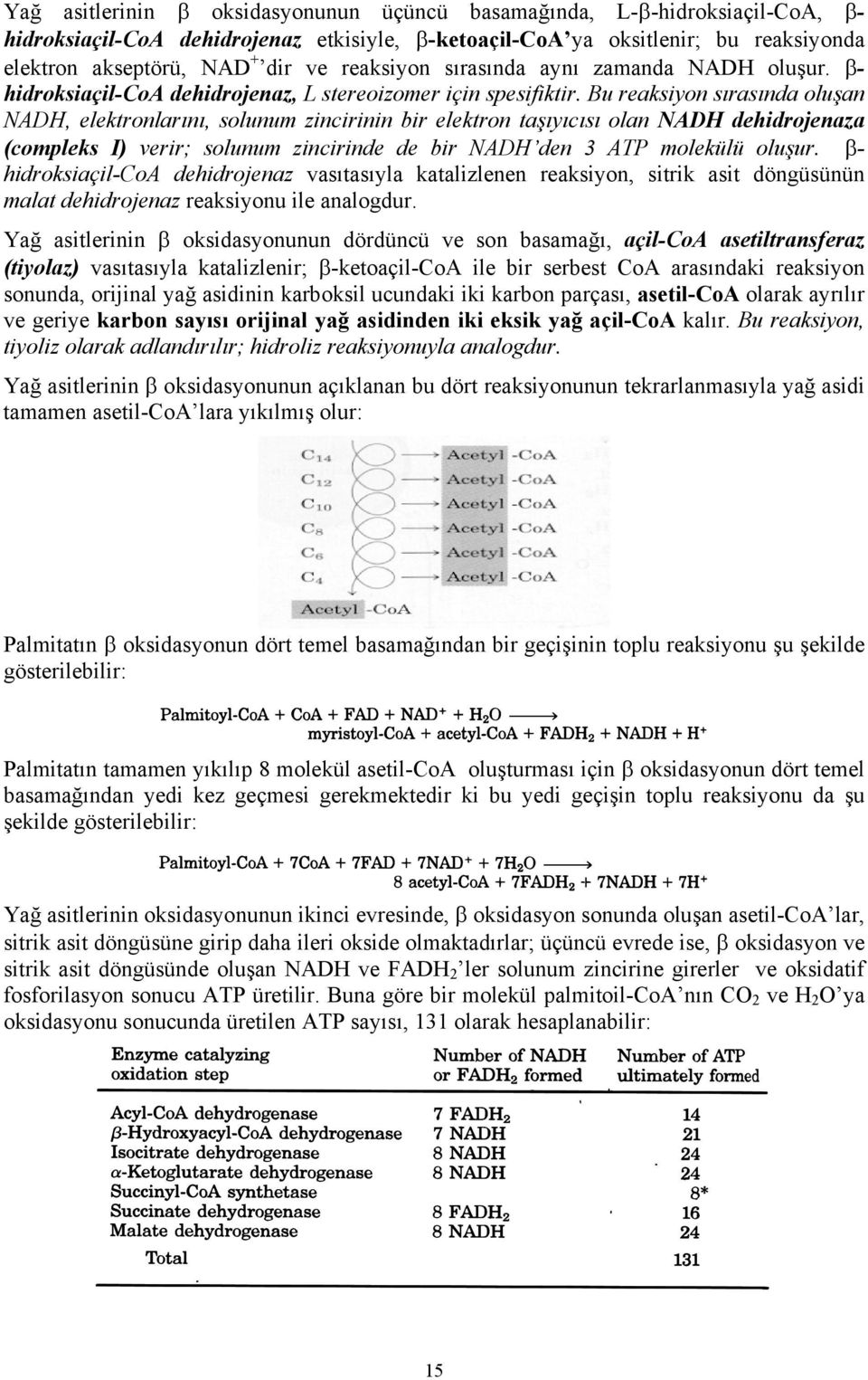 Bu reaksiyon sırasında oluşan NADH, elektronlarını, solunum zincirinin bir elektron taşıyıcısı olan NADH dehidrojenaza (compleks I) verir; solunum zincirinde de bir NADH den 3 ATP molekülü oluşur.