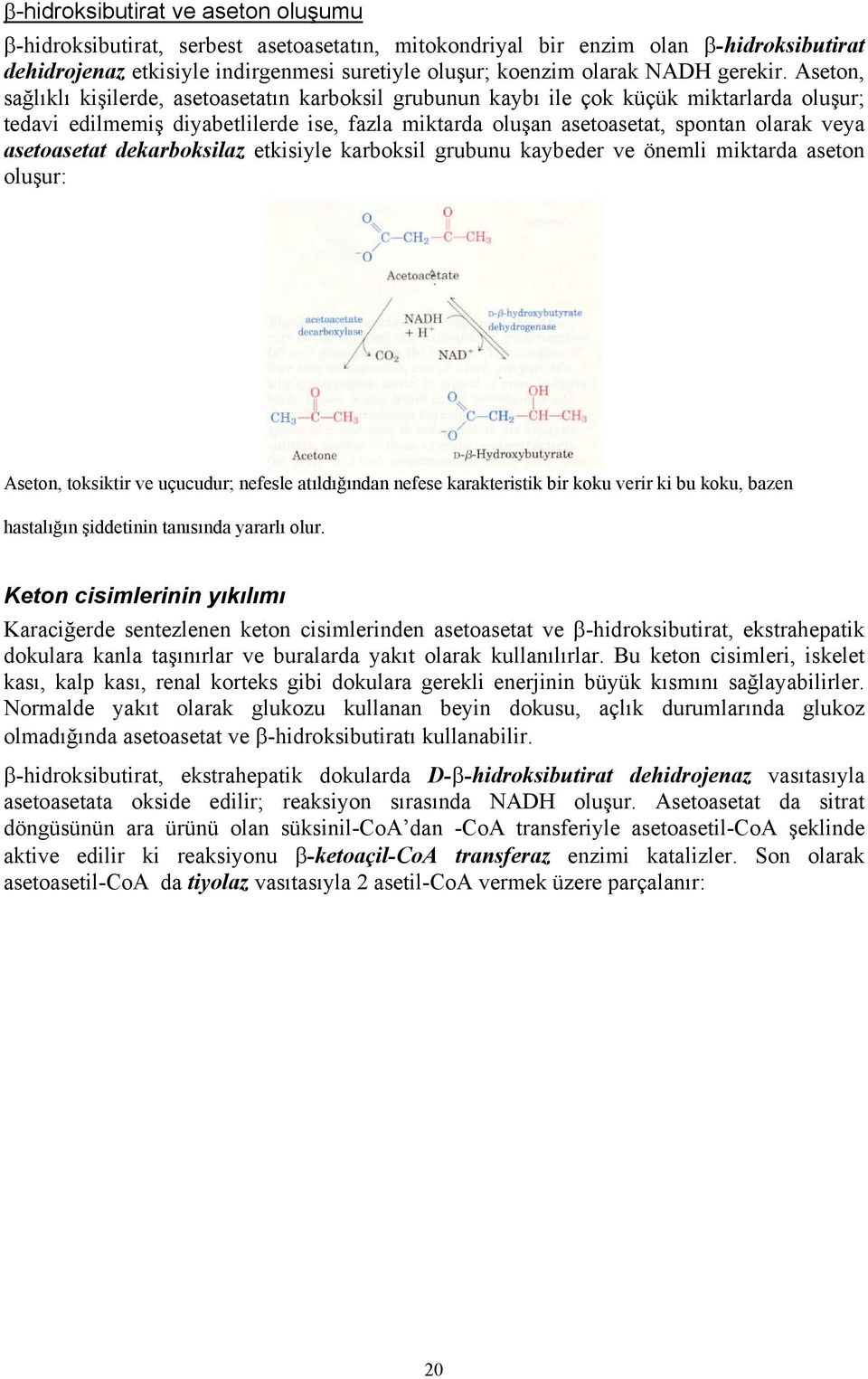 Aseton, sağlıklı kişilerde, asetoasetatın karboksil grubunun kaybı ile çok küçük miktarlarda oluşur; tedavi edilmemiş diyabetlilerde ise, fazla miktarda oluşan asetoasetat, spontan olarak veya