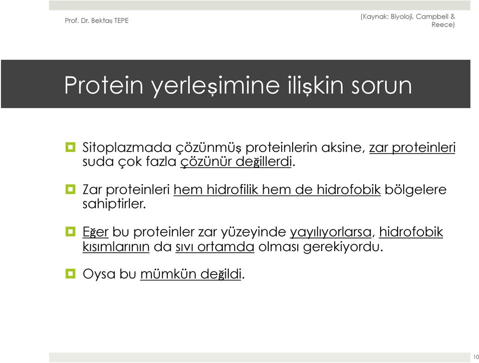 Zar proteinleri hem hidrofilik hem de hidrofobik bölgelere sahiptirler.