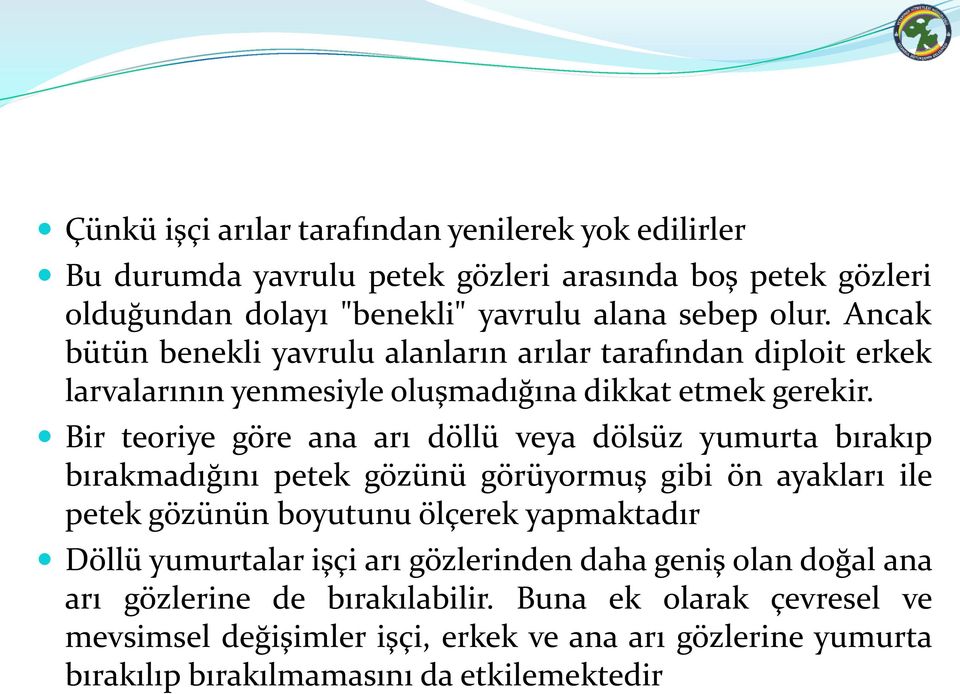 Bir teoriye göre ana arı döllü veya dölsüz yumurta bırakıp bırakmadığını petek gözünü görüyormuş gibi ön ayakları ile petek gözünün boyutunu ölçerek yapmaktadır Döllü