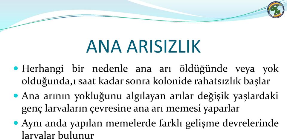 algılayan arılar değişik yaşlardaki genç larvaların çevresine ana arı