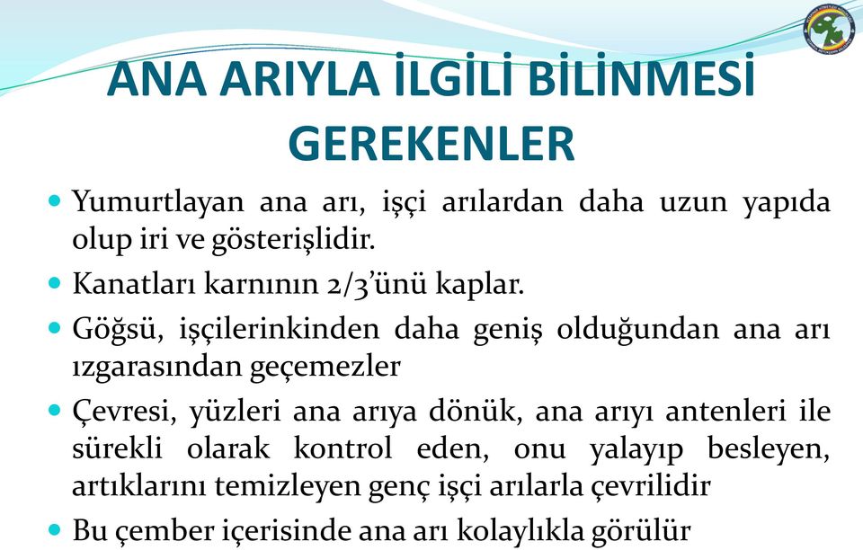 Göğsü, işçilerinkinden daha geniş olduğundan ana arı ızgarasından geçemezler Çevresi, yüzleri ana arıya