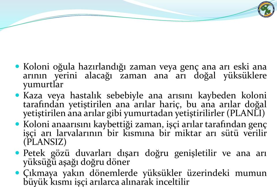 Koloni anaarısını kaybettiği zaman, işçi arılar tarafından genç işçi arı larvalarının bir kısmına bir miktar arı sütü verilir (PLANSIZ) Petek gözü