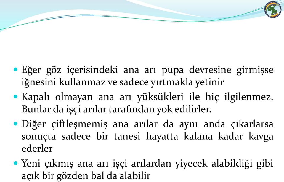 Diğer çiftleşmemiş ana arılar da aynı anda çıkarlarsa sonuçta sadece bir tanesi hayatta kalana kadar