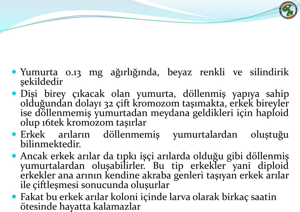 erkek bireyler ise döllenmemiş yumurtadan meydana geldikleri için haploid olup 16tek kromozom taşırlar Erkek arıların döllenmemiş yumurtalardan oluştuğu