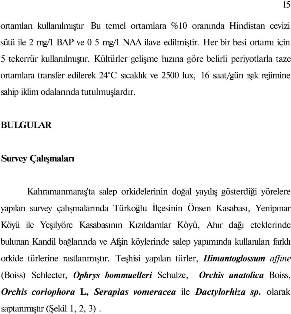 BULGULAR Survey Çalışmaları Kahramanmaraş'ta salep orkidelerinin doğal yayılış gösterdiği yörelere yapılan survey çalışmalarında Türkoğlu İlçesinin Önsen Kasabası, Yenipınar Köyü ile Yeşilyöre