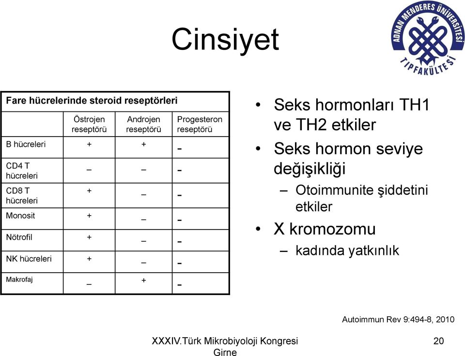 hücreleri + _ - Progesteron reseptörü Seks hormonları TH1 ve TH2 etkiler Seks hormon seviye