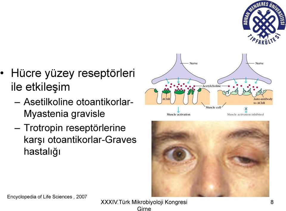 Trotropin reseptörlerine karşı