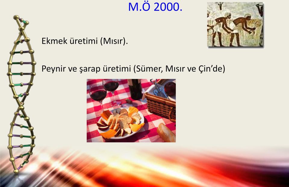 (Mısır).