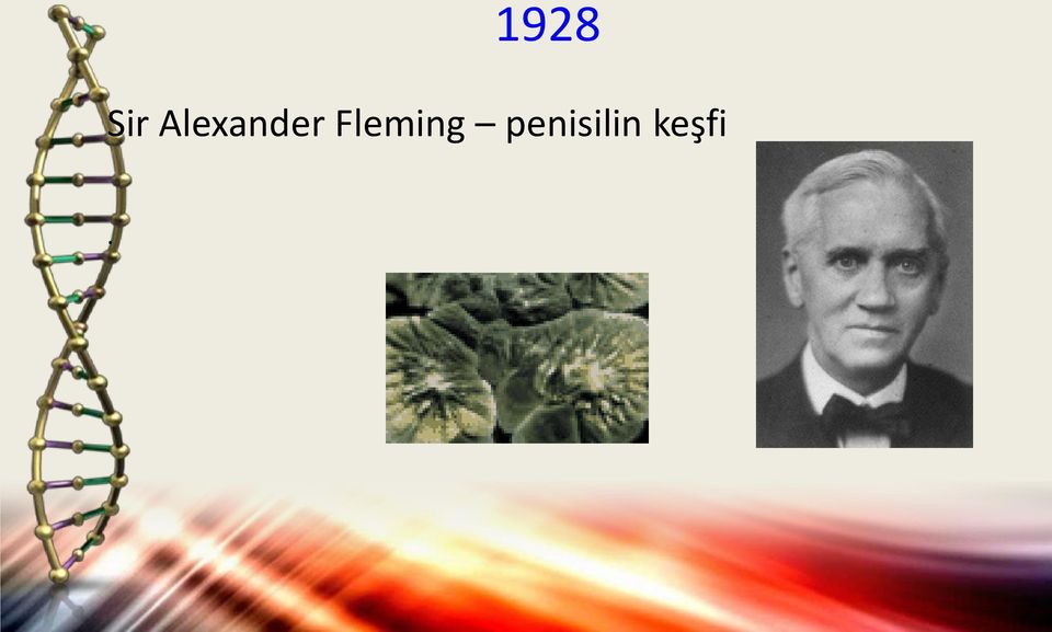 Fleming