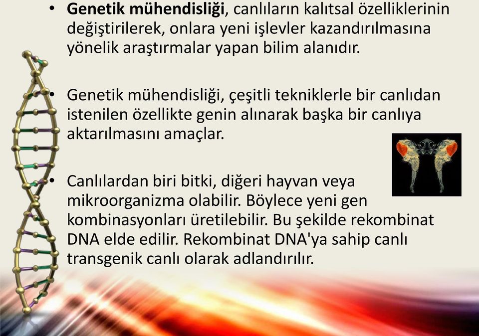 Genetik mühendisliği, çeşitli tekniklerle bir canlıdan istenilen özellikte genin alınarak başka bir canlıya aktarılmasını