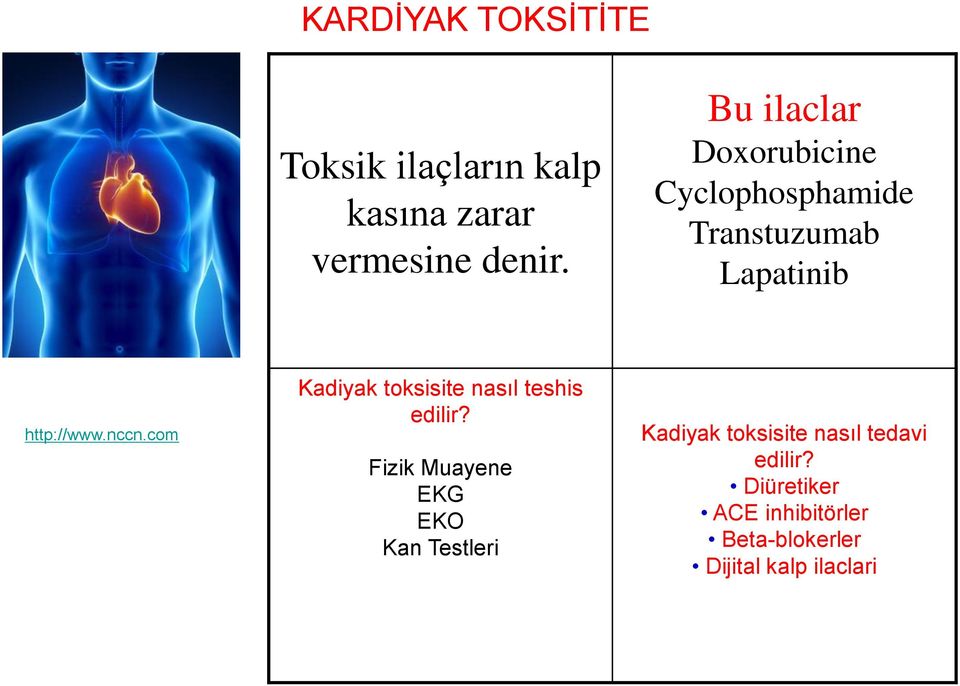 com Kadiyak toksisite nasıl teshis edilir?