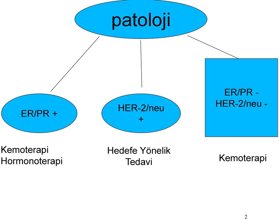 Kemoterapi Hormonoterapi