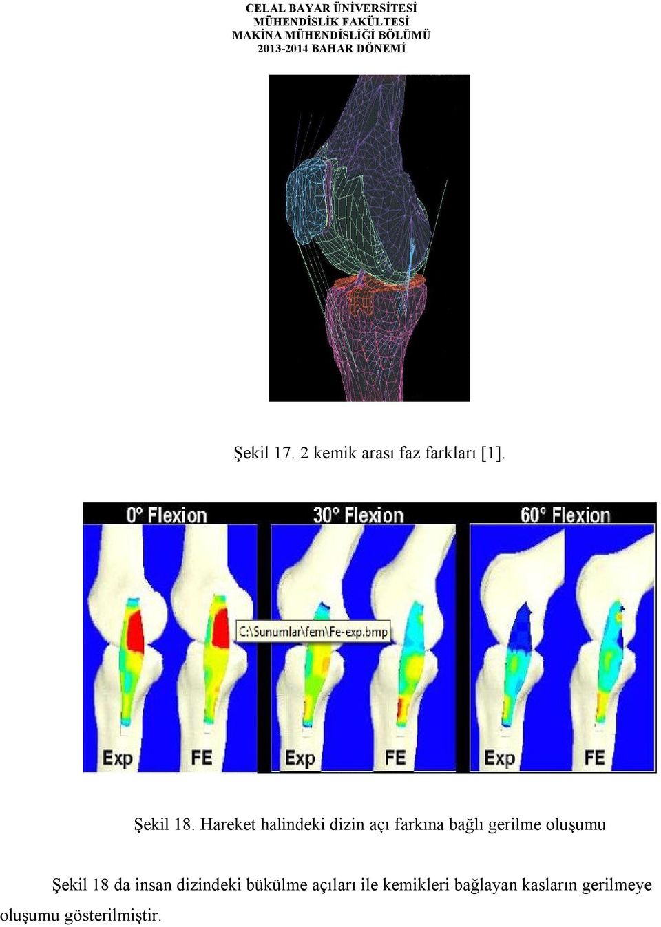 oluşumu Şekil 18 da insan dizindeki bükülme açıları
