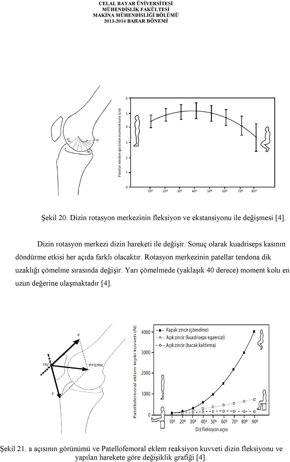 Rotasyon merkezinin patellar tendona dik uzaklığı çömelme sırasında değişir.