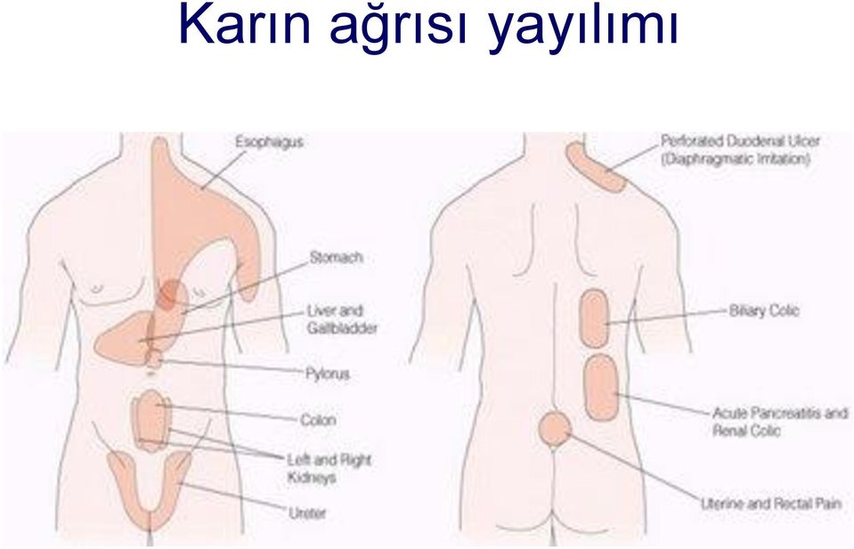 yayılımı