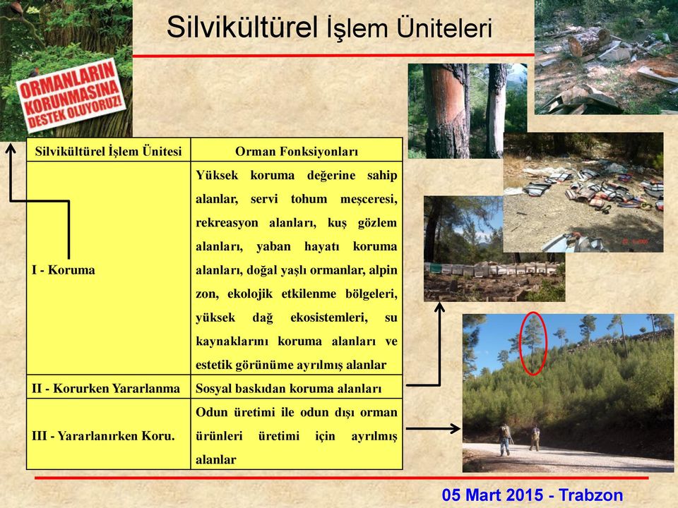 hayatı koruma alanları, doğal yaşlı ormanlar, alpin zon, ekolojik etkilenme bölgeleri, yüksek dağ ekosistemleri, su kaynaklarını